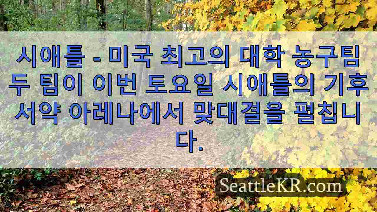 시애틀 뉴스 SeattleKR