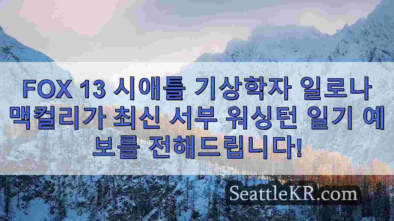 시애틀 뉴스 SeattleKR