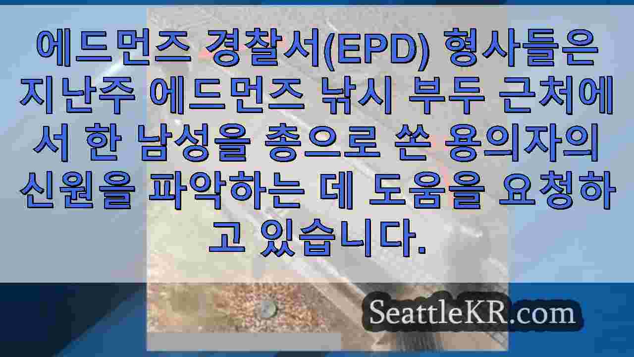 시애틀 뉴스 SeattleKR