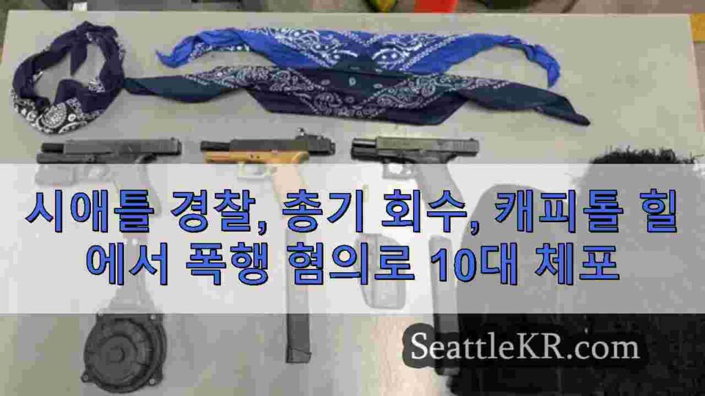 시애틀 경찰, 총기 회수, 캐피톨 힐에서 폭행 혐의로 10대 체포