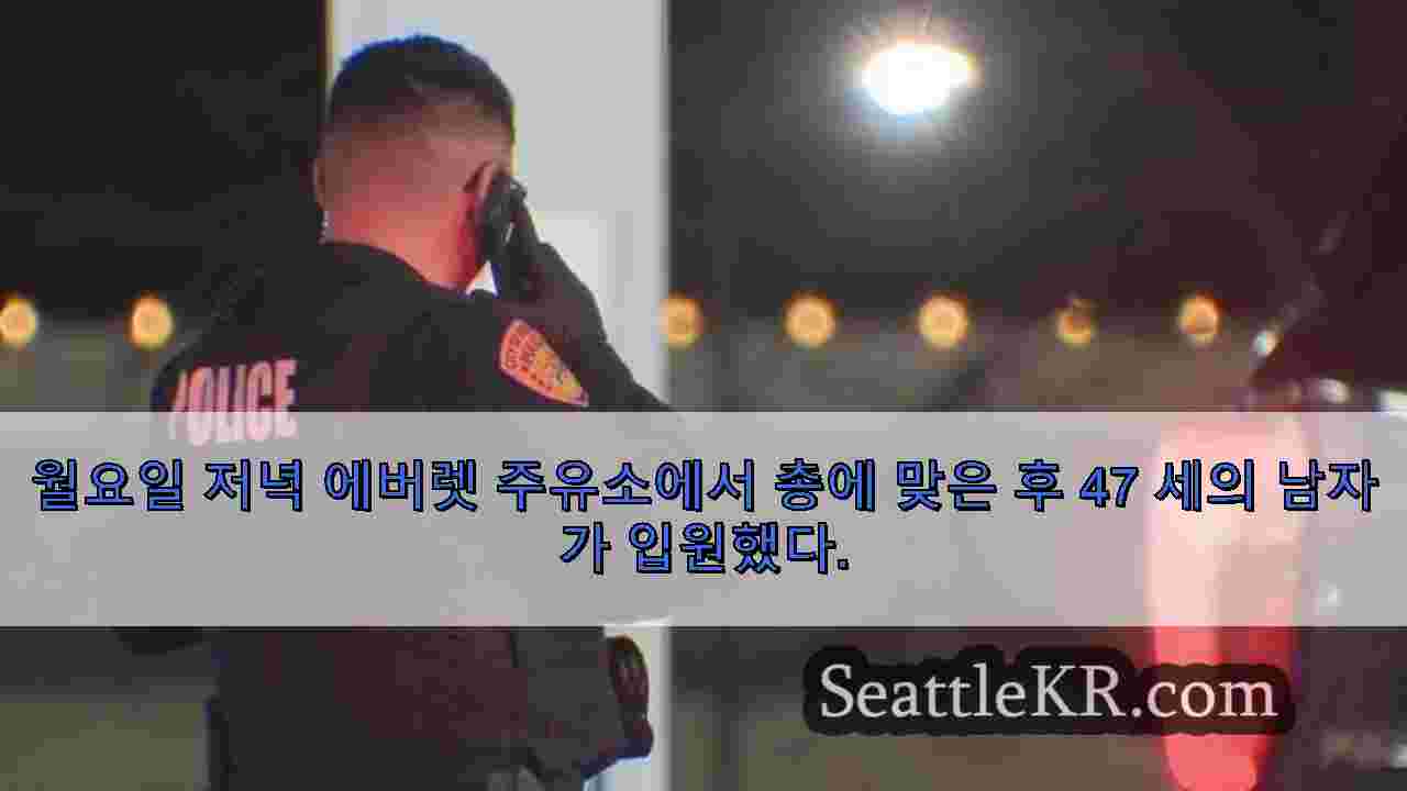 시애틀 뉴스 SeattleKR