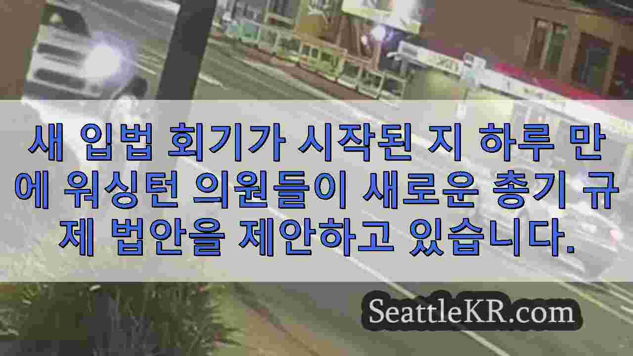 시애틀 뉴스 SeattleKR