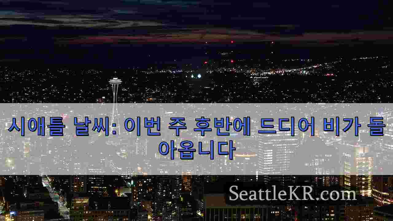 시애틀 뉴스 SeattleKR