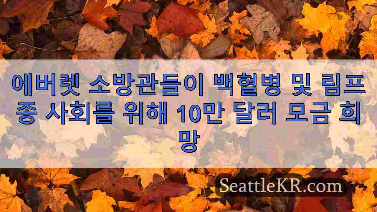 시애틀 뉴스 SeattleKR