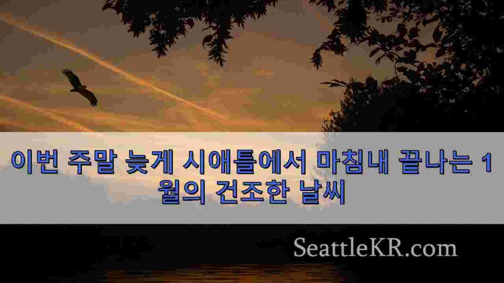 이번 주말 늦게 시애틀에서 마침내 끝나는 1월의 건조한 날씨