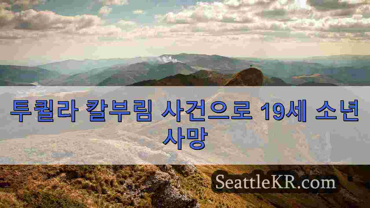 시애틀 뉴스 SeattleKR
