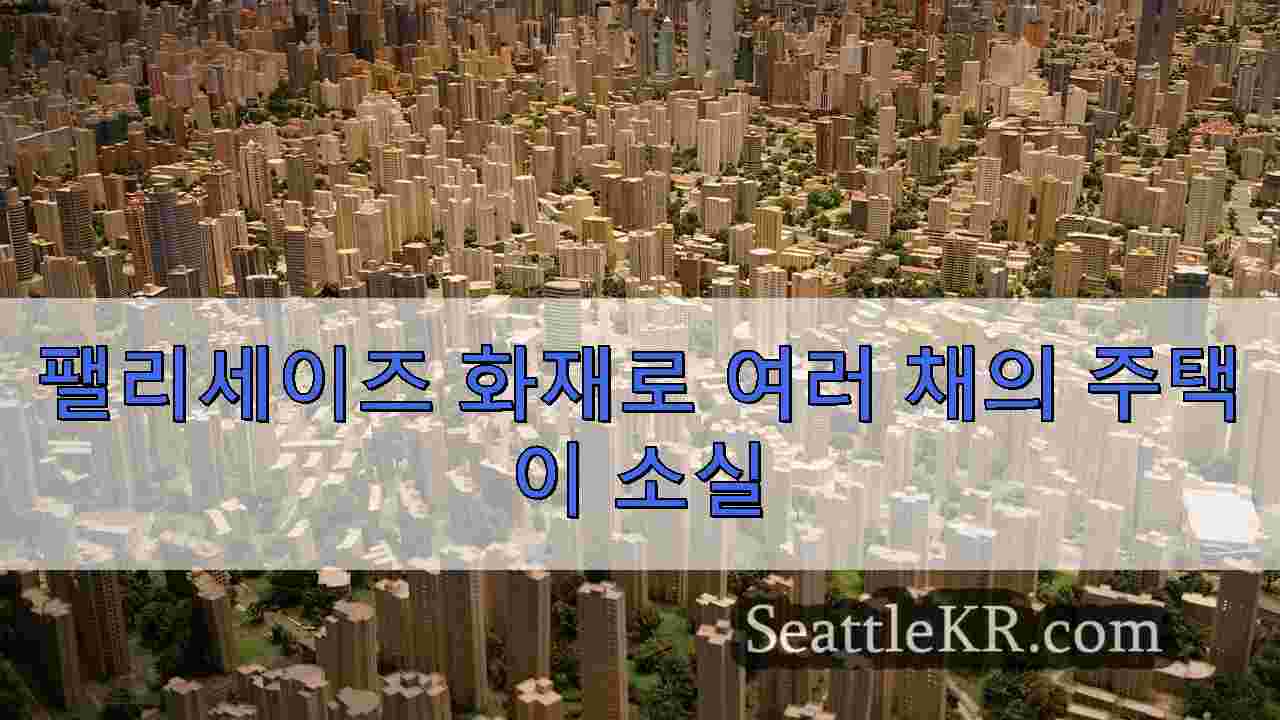 시애틀 뉴스 SeattleKR