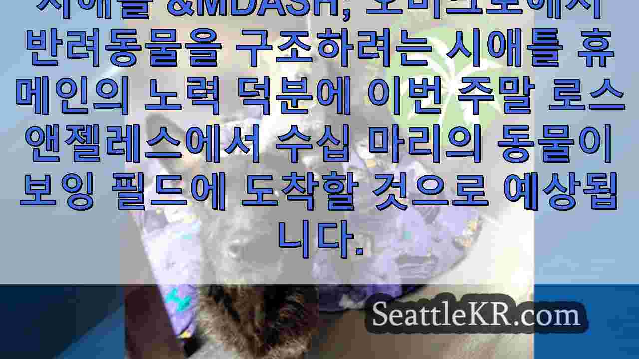 시애틀 뉴스 SeattleKR