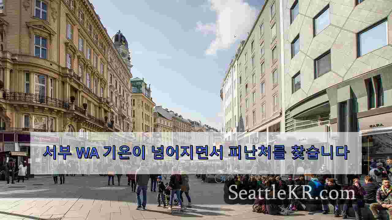 시애틀 뉴스 SeattleKR