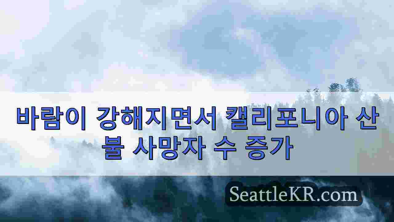 시애틀 뉴스 SeattleKR