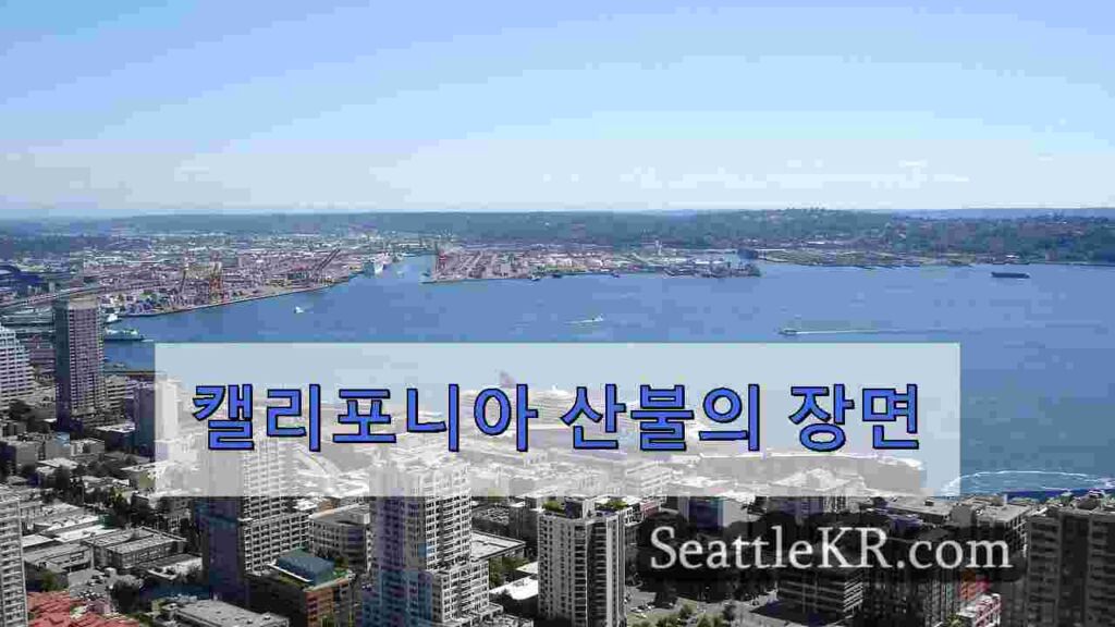 시애틀 경찰, 마약 딜러 용의자 추적, 펜타닐과 칼 압수