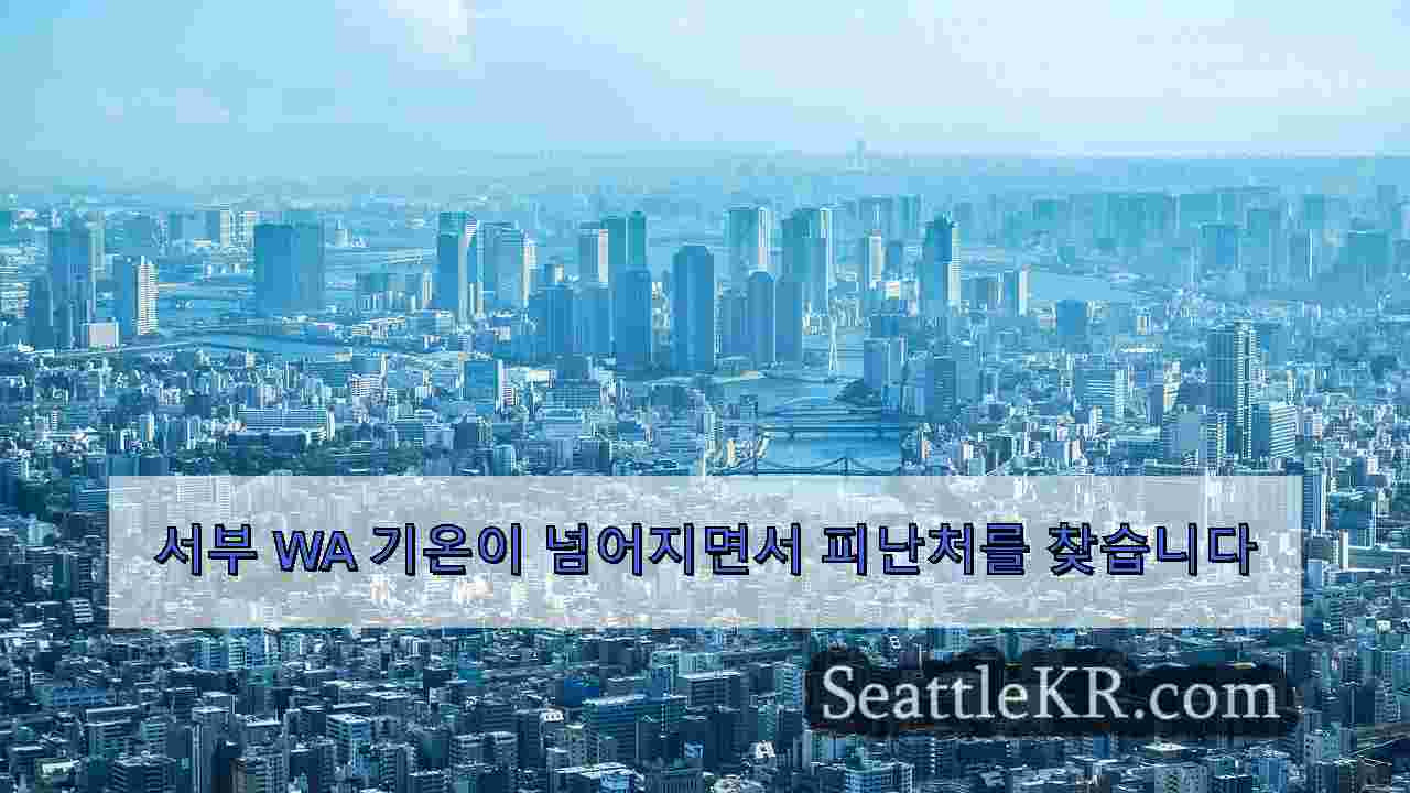 시애틀 뉴스 SeattleKR