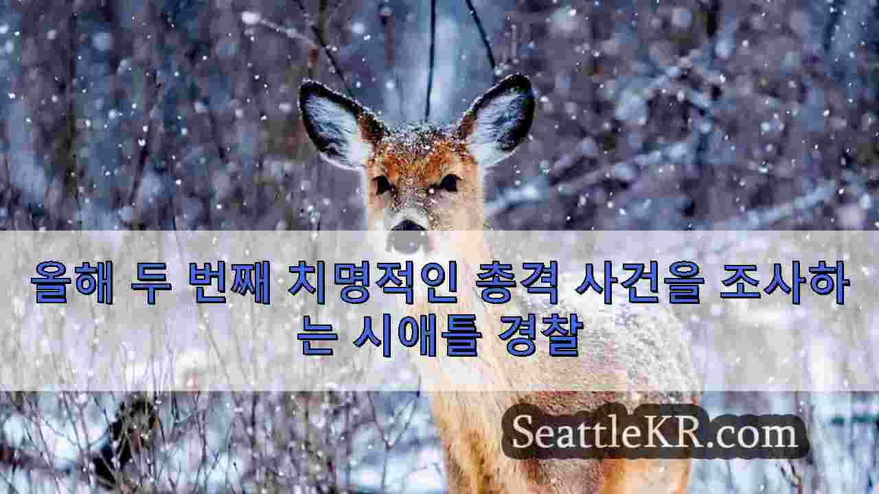 시애틀 뉴스 SeattleKR