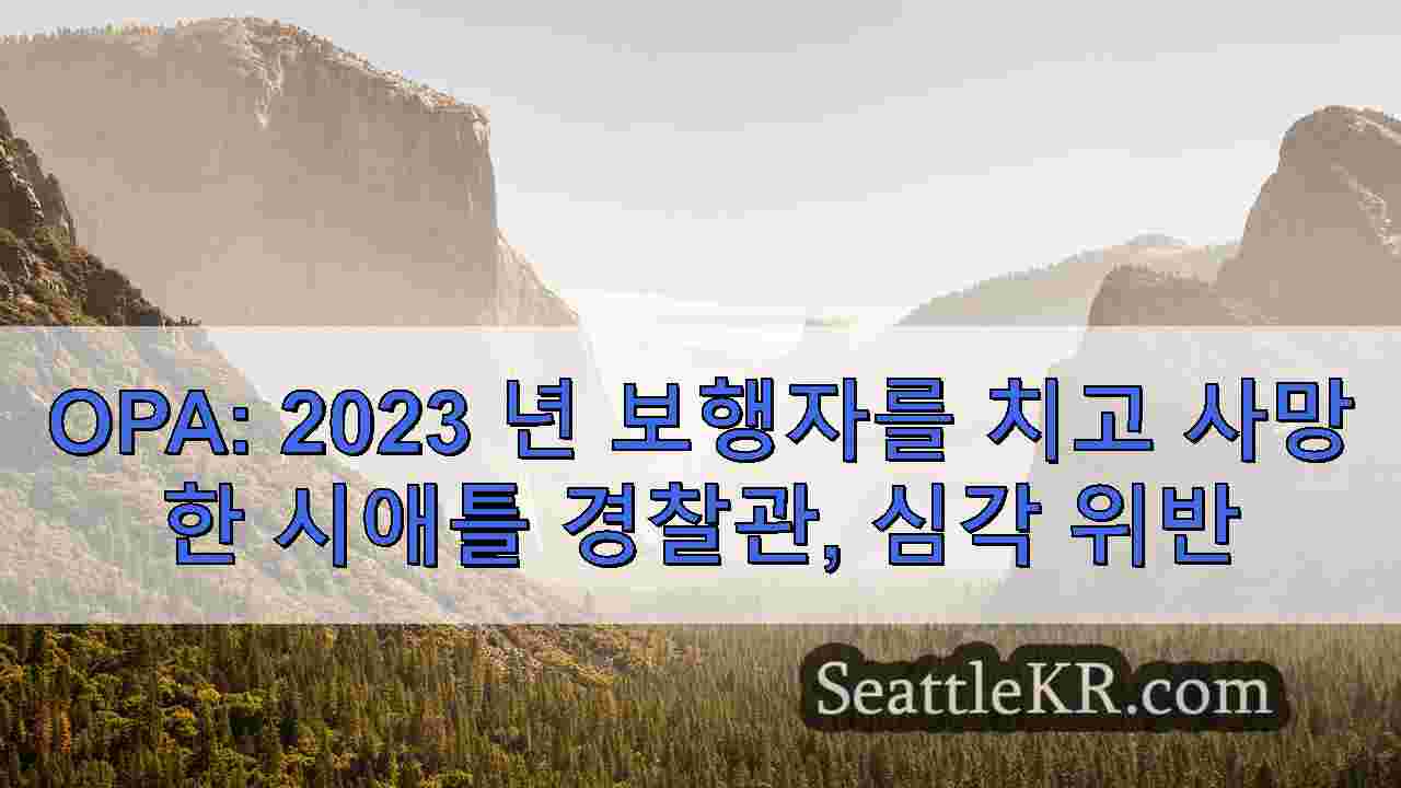 시애틀 뉴스 SeattleKR