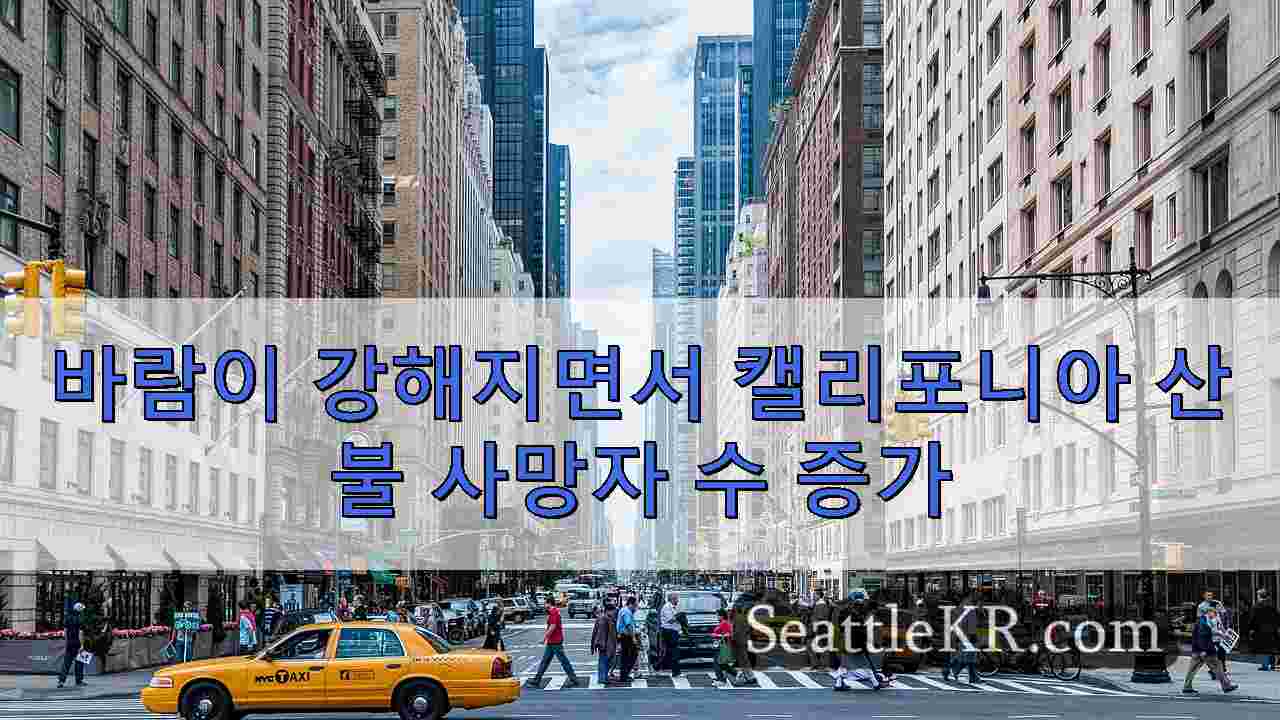 시애틀 뉴스 SeattleKR
