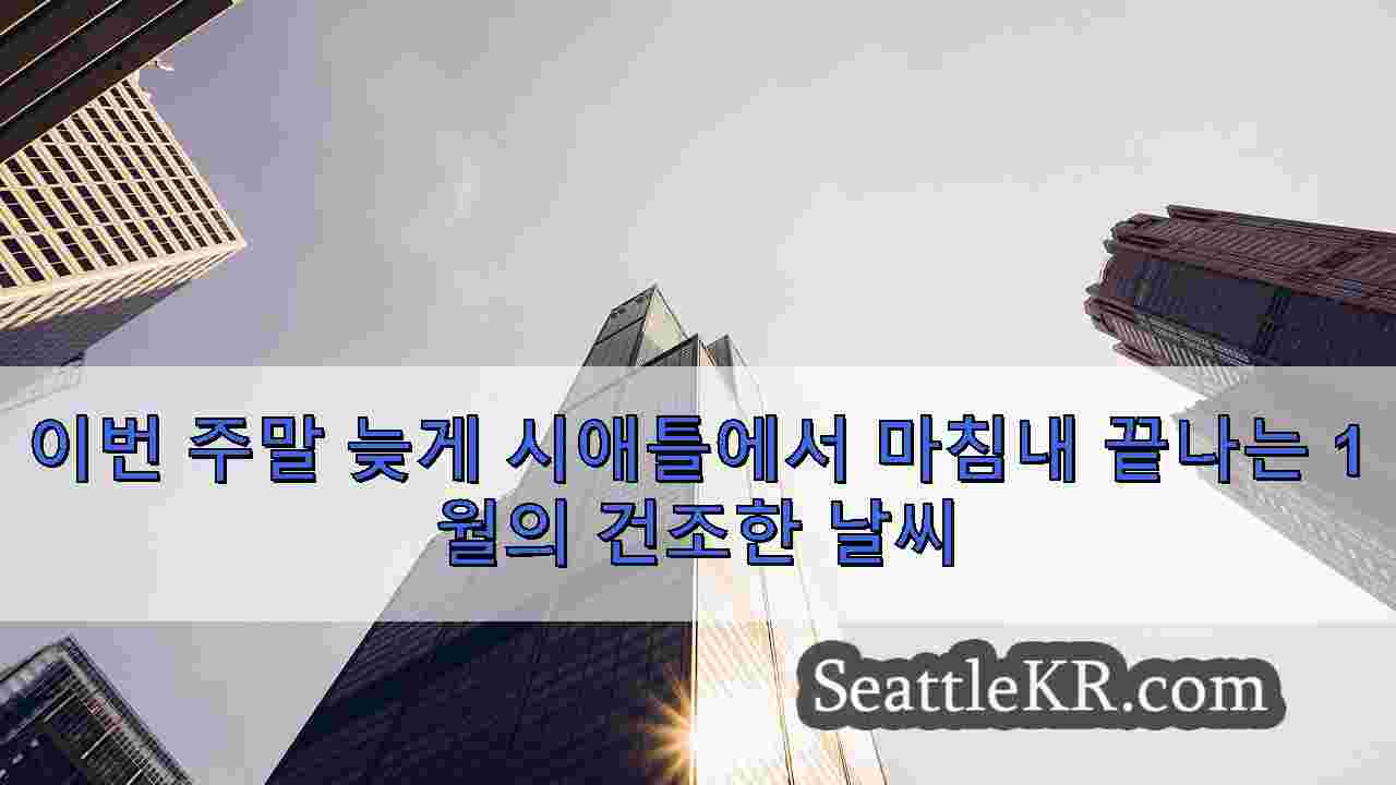 시애틀 뉴스 SeattleKR