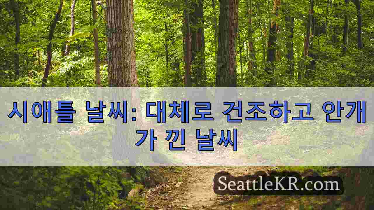 시애틀 뉴스 SeattleKR