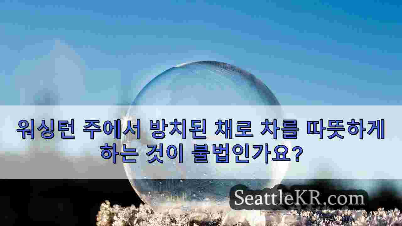 시애틀 뉴스 SeattleKR