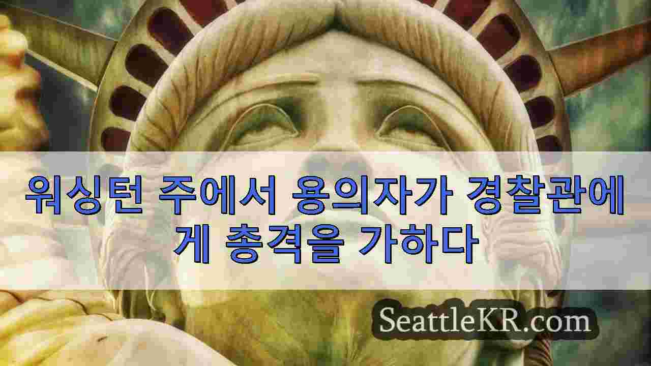 시애틀 뉴스 SeattleKR
