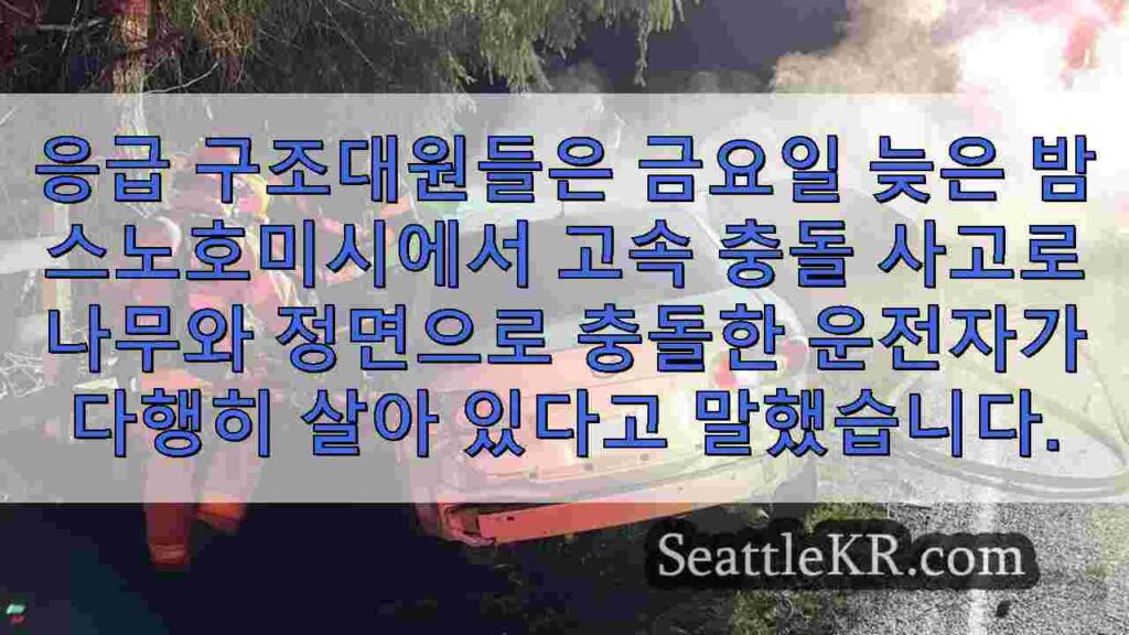 고속으로 나무에 충돌한 후 불타는 차에서 구조된 운전자