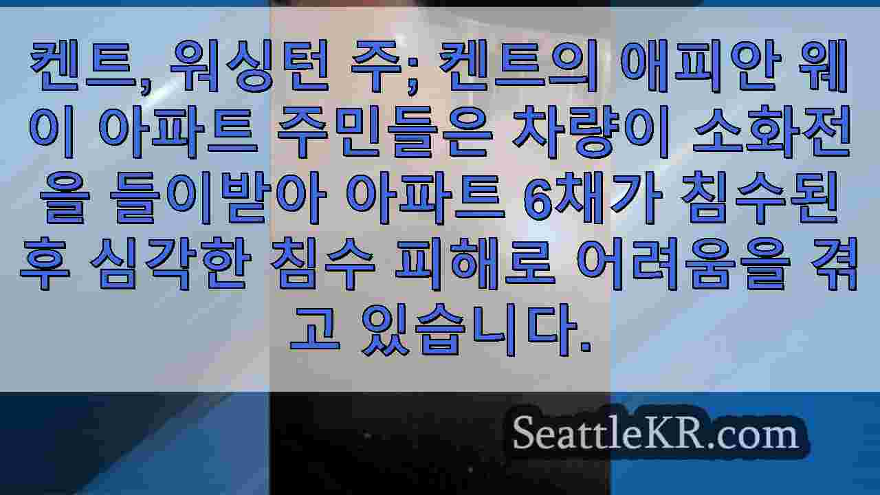 시애틀 뉴스 SeattleKR