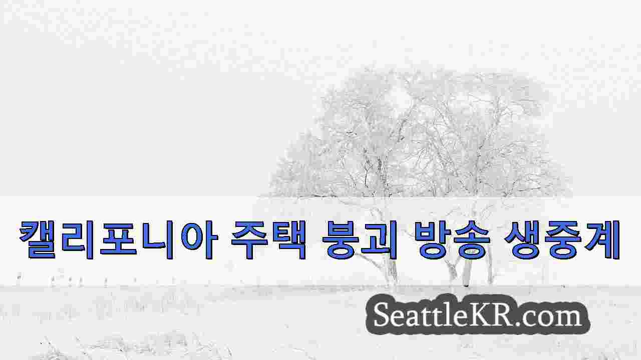 시애틀 뉴스 SeattleKR