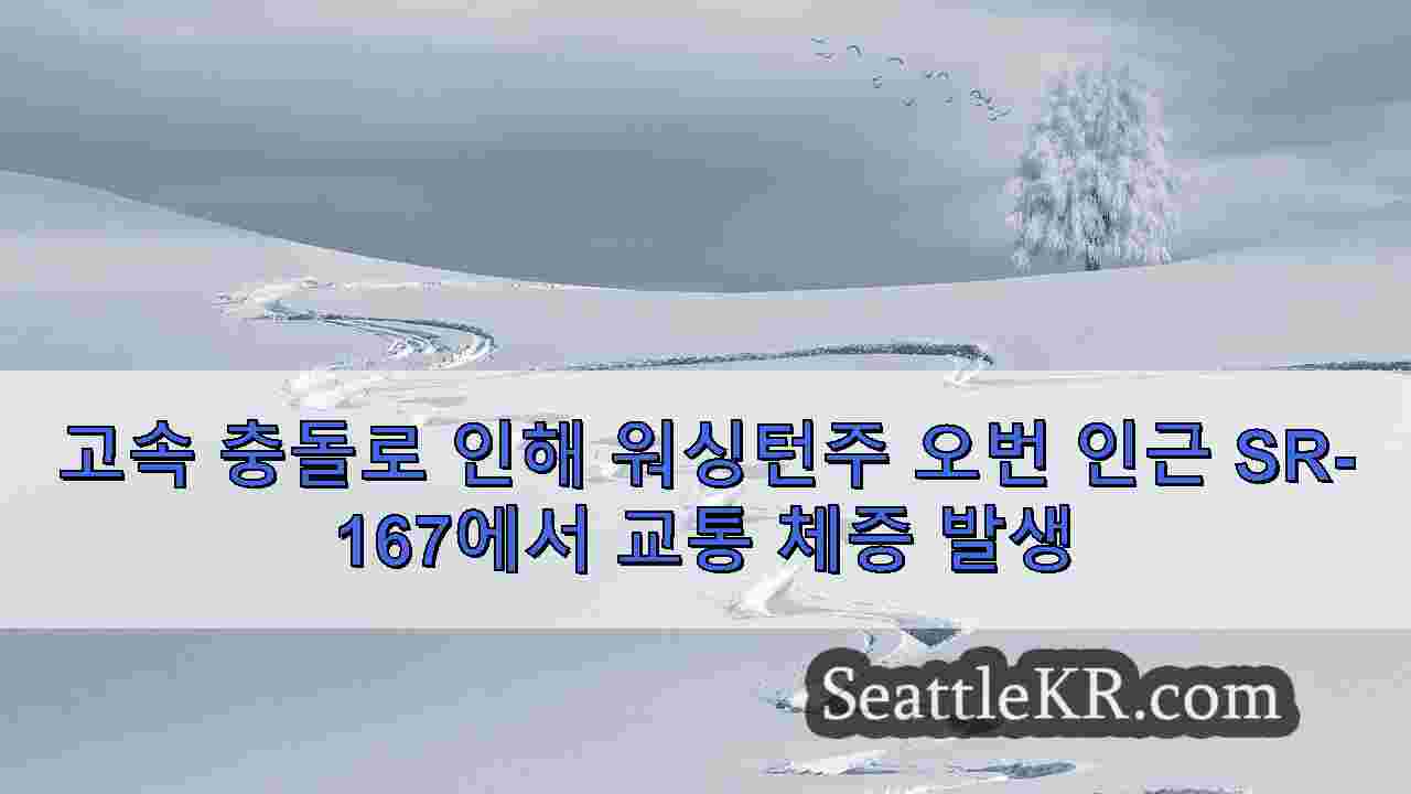 시애틀 뉴스 SeattleKR