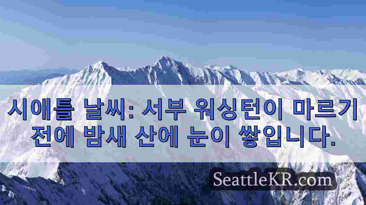 시애틀 뉴스 SeattleKR