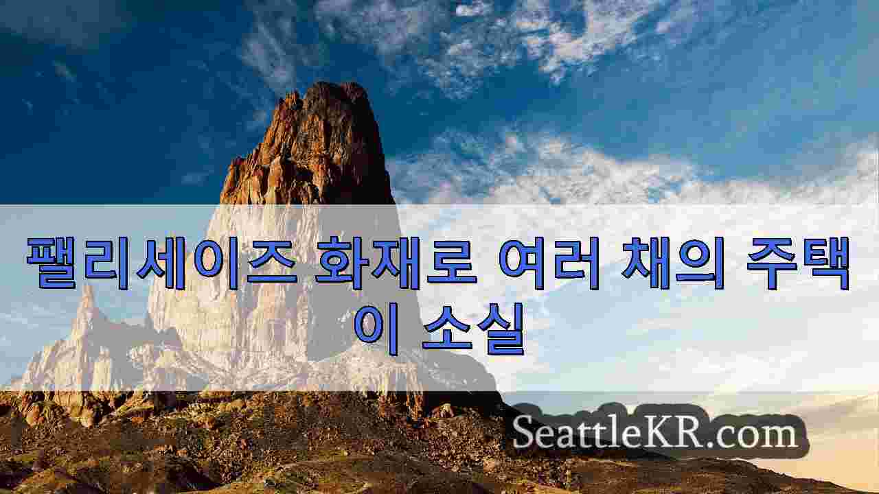 시애틀 뉴스 SeattleKR