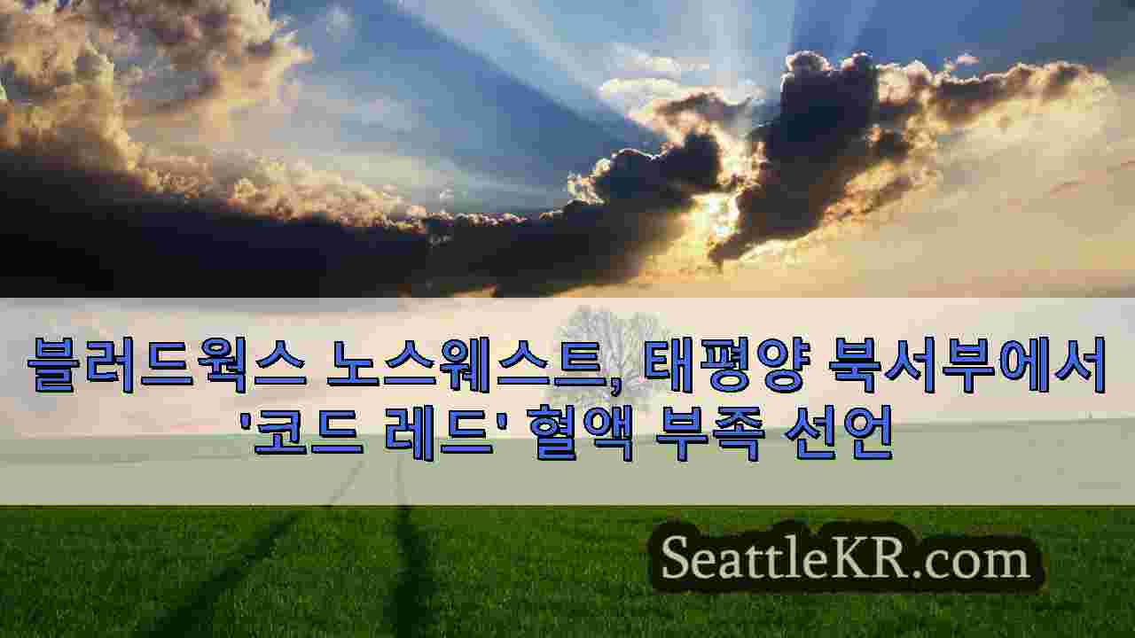 시애틀 뉴스 SeattleKR