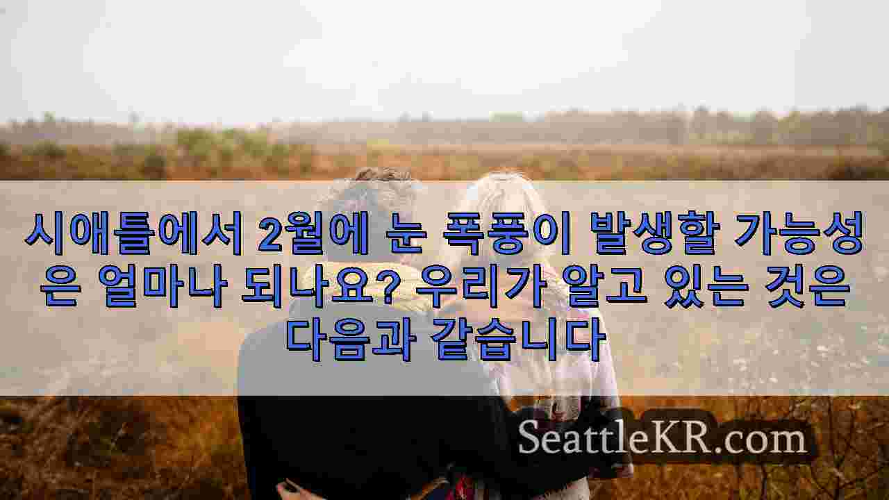 시애틀 뉴스 SeattleKR