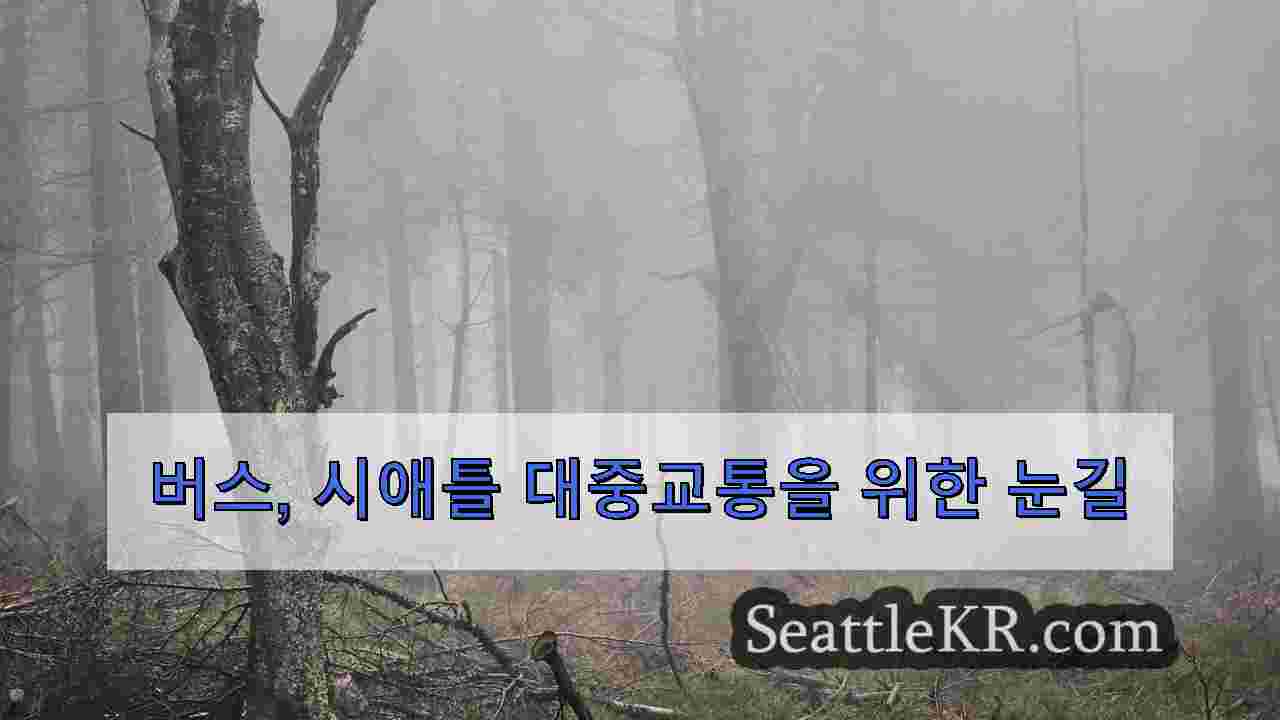 시애틀 뉴스 SeattleKR