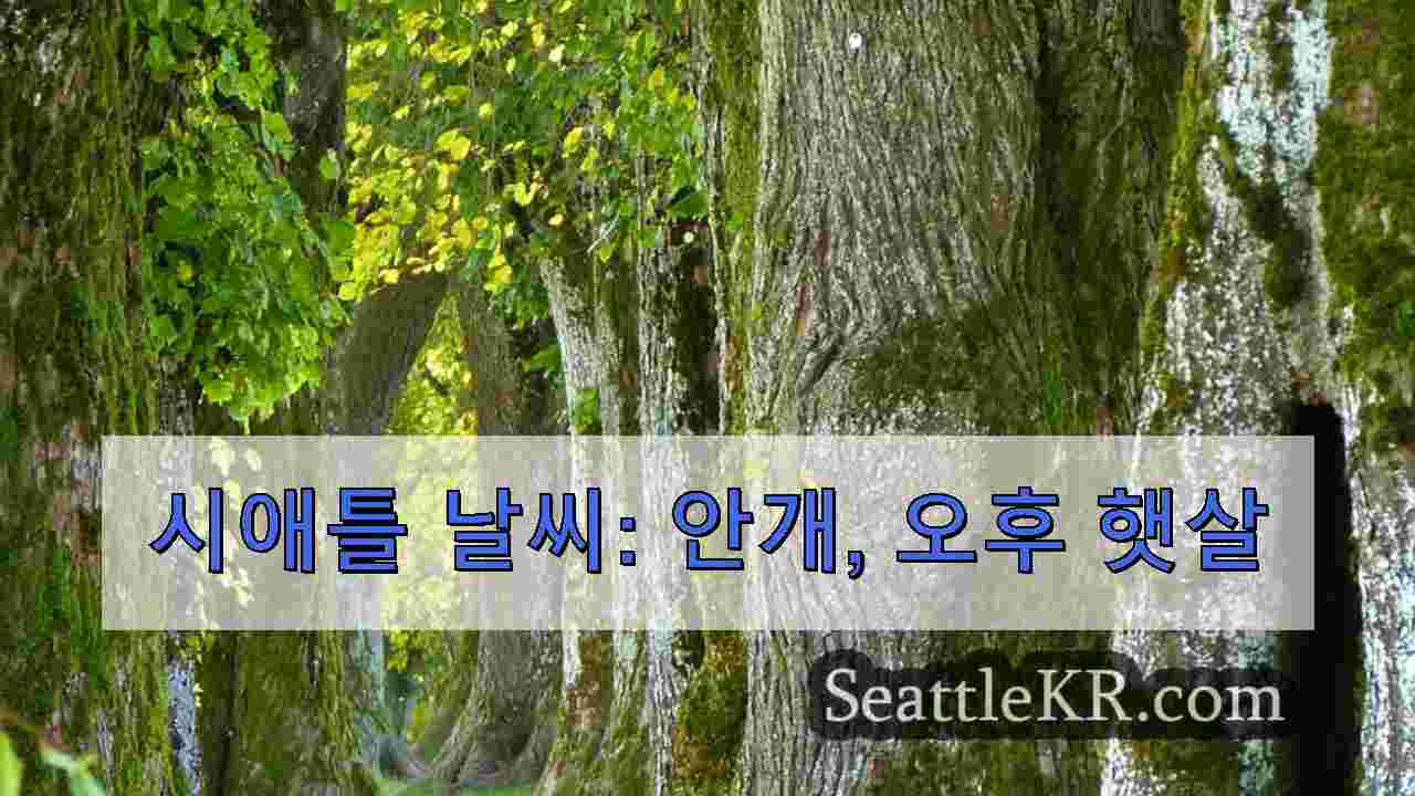시애틀 뉴스 SeattleKR