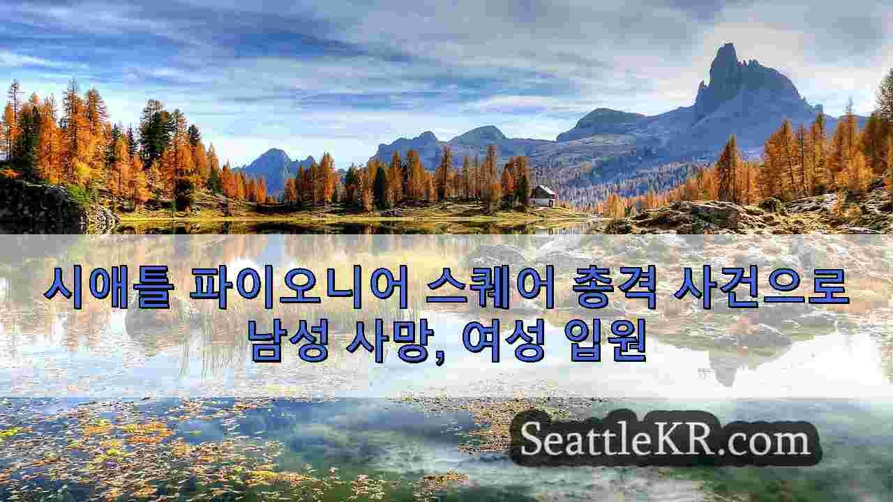 시애틀 뉴스 SeattleKR