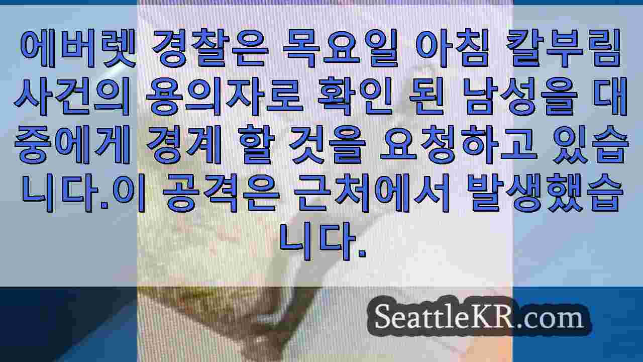 시애틀 뉴스 SeattleKR