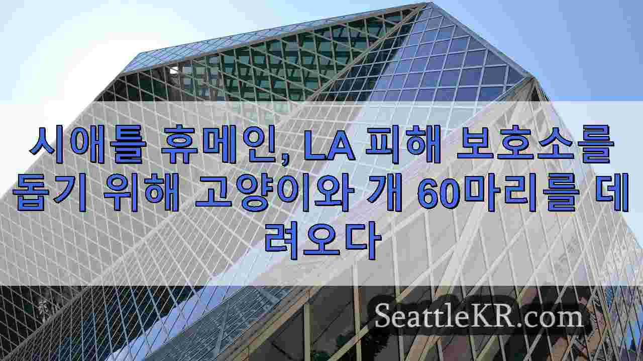 시애틀 휴메인 LA 산불로 피해를 입은 보호소를 돕기 위해 고양이와 개 60마리를 비행기로 데려오다