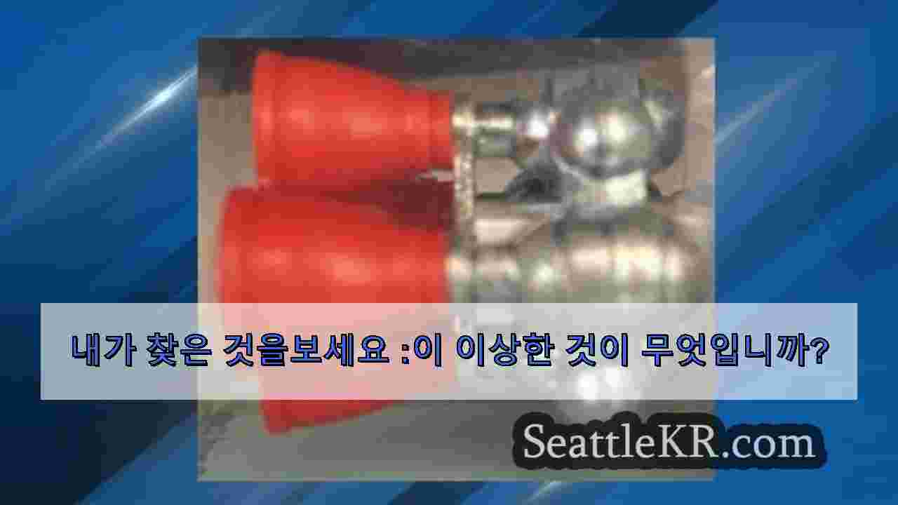 시애틀 뉴스 SeattleKR