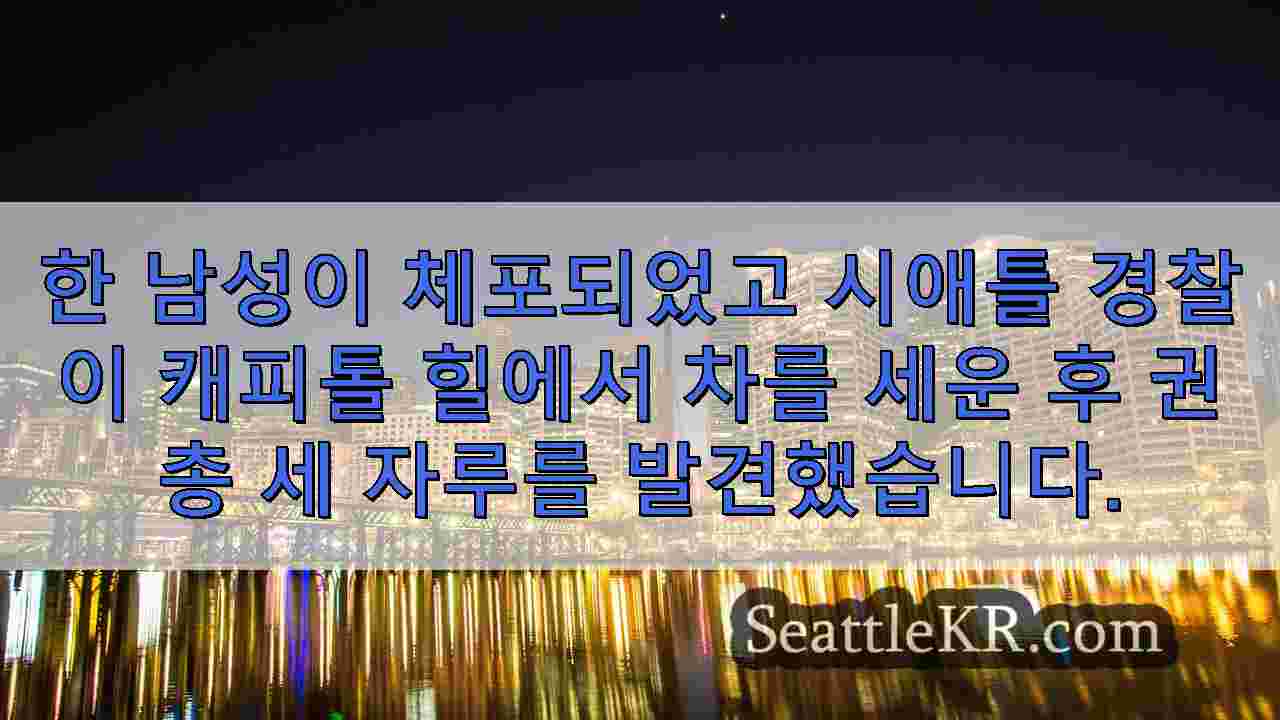 시애틀 뉴스 SeattleKR