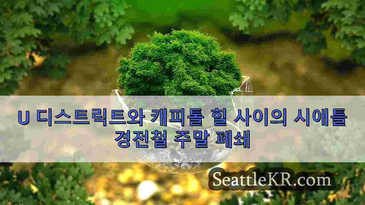 시애틀 뉴스 SeattleKR