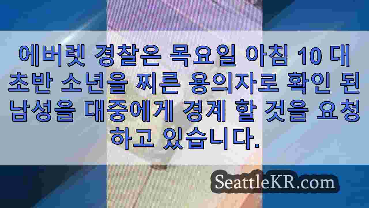 시애틀 뉴스 SeattleKR