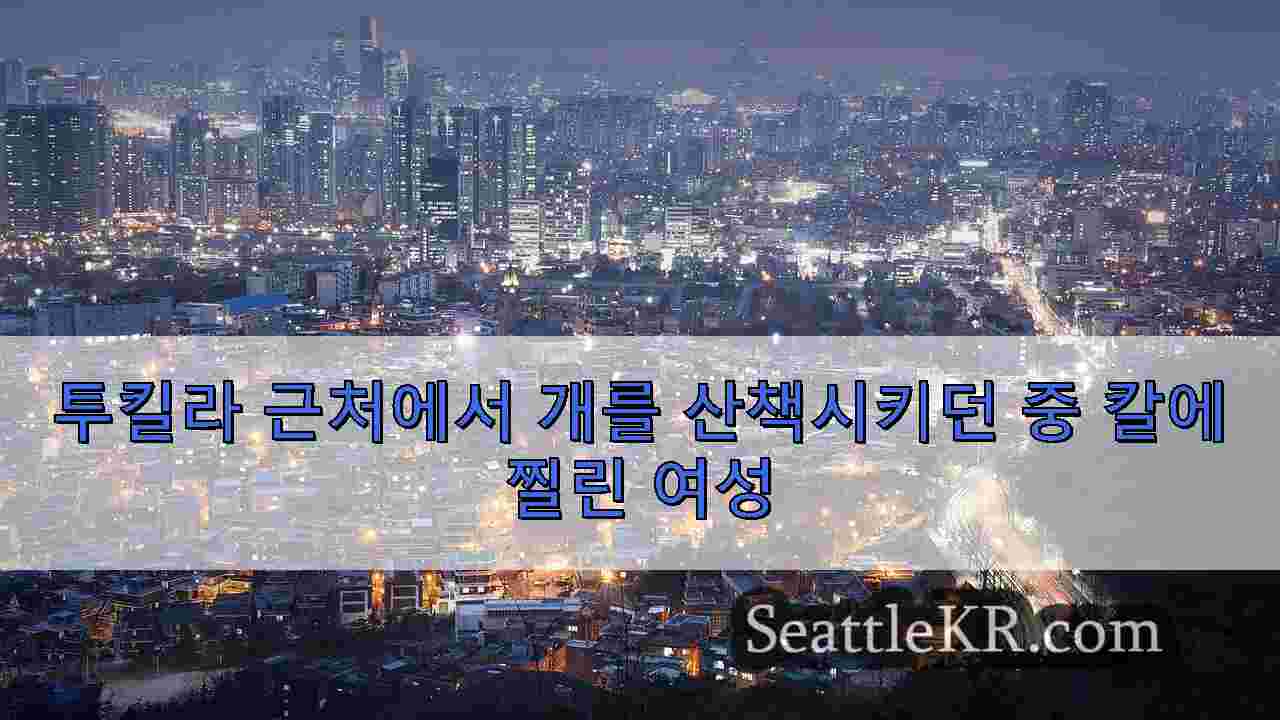 시애틀 뉴스 SeattleKR