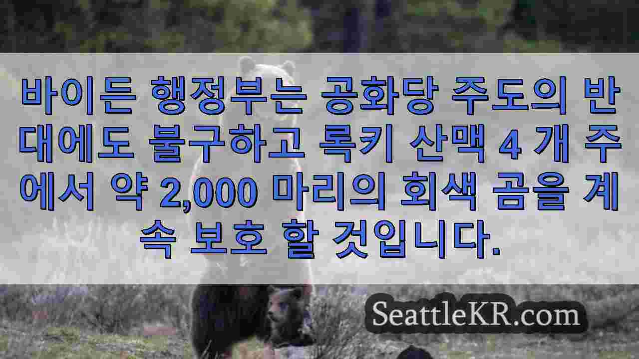 시애틀 뉴스 SeattleKR