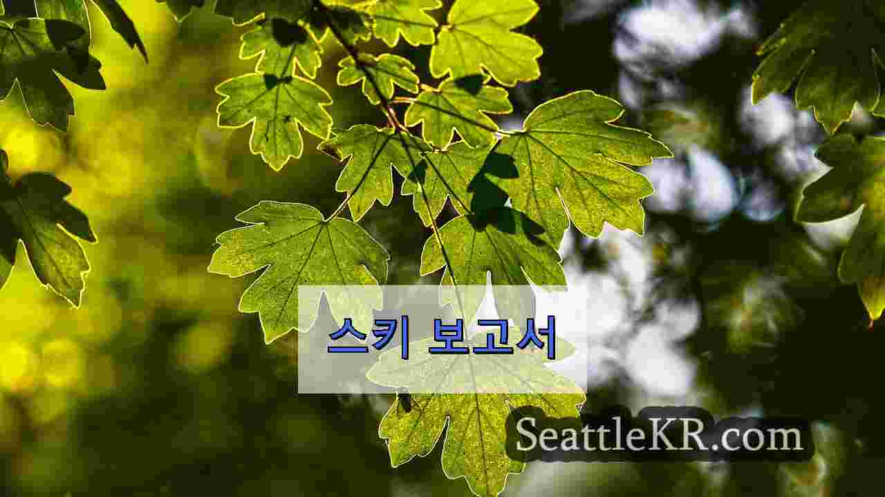 시애틀 뉴스 SeattleKR