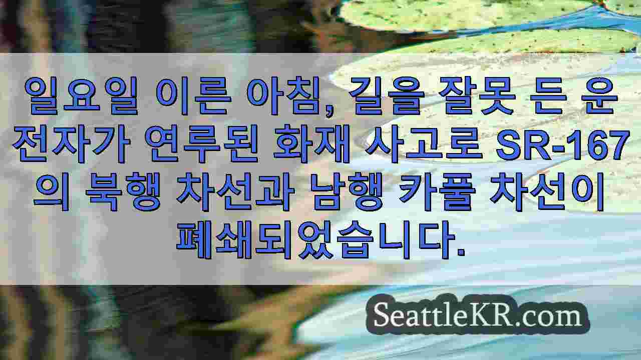 시애틀 뉴스 SeattleKR