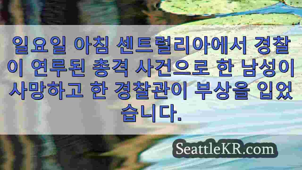 시애틀 뉴스 SeattleKR