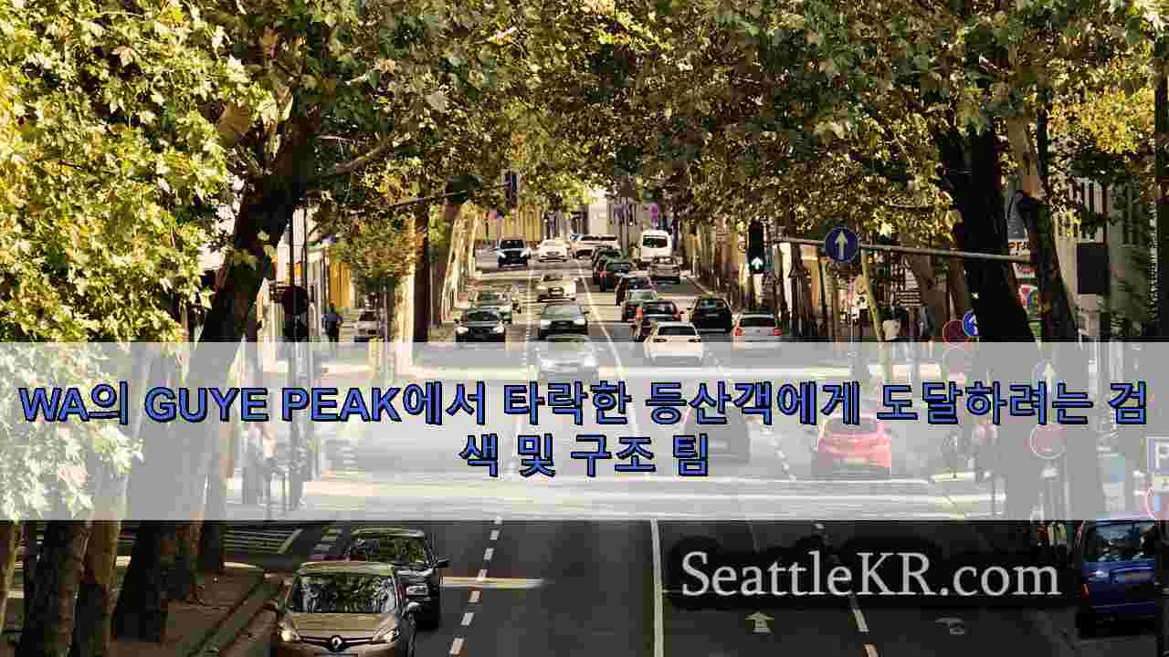 시애틀 뉴스 SeattleKR