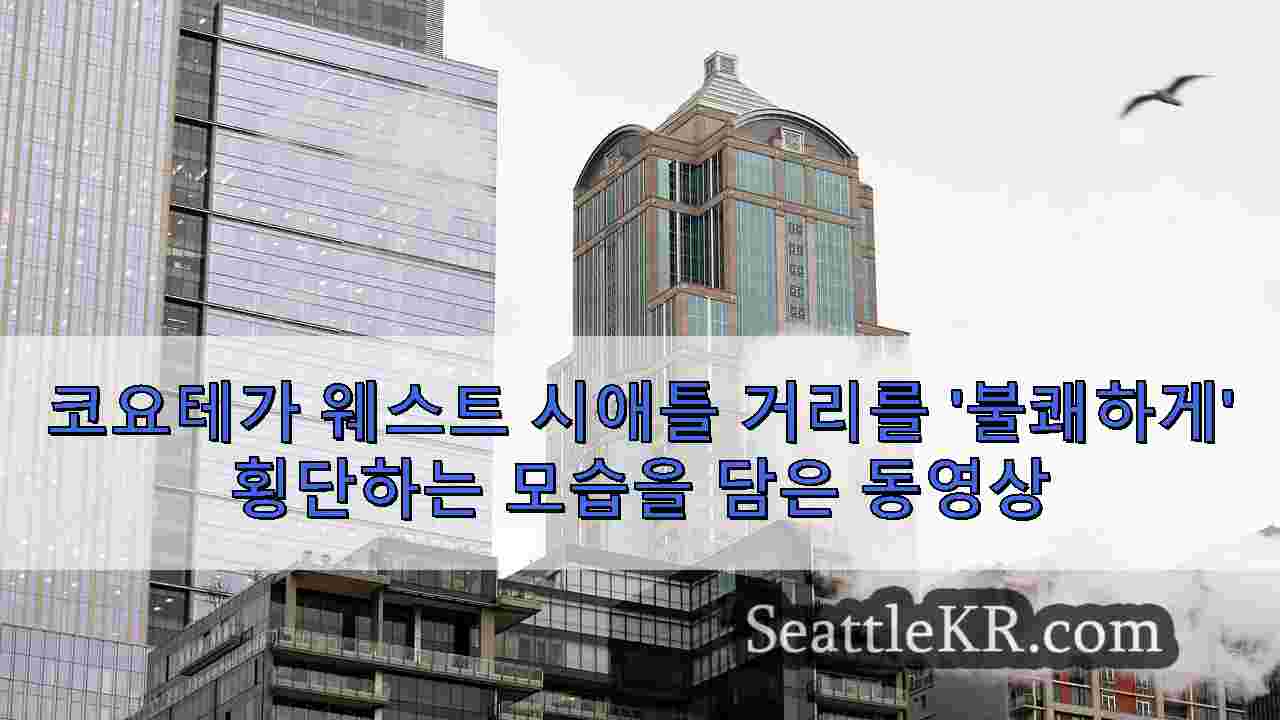 시애틀 뉴스 SeattleKR