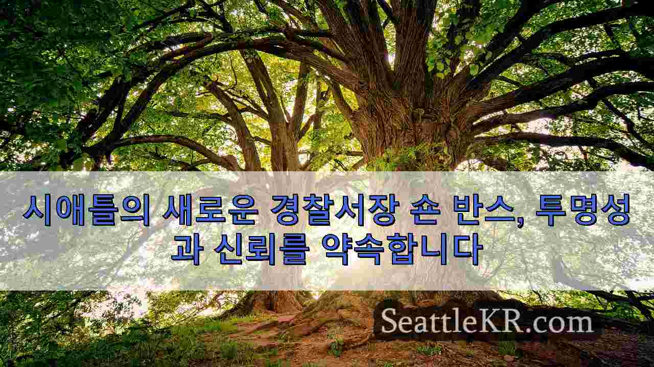 시애틀 뉴스 SeattleKR