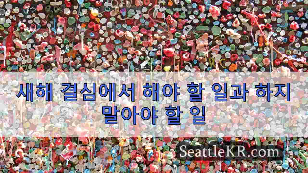 시애틀 뉴스 SeattleKR