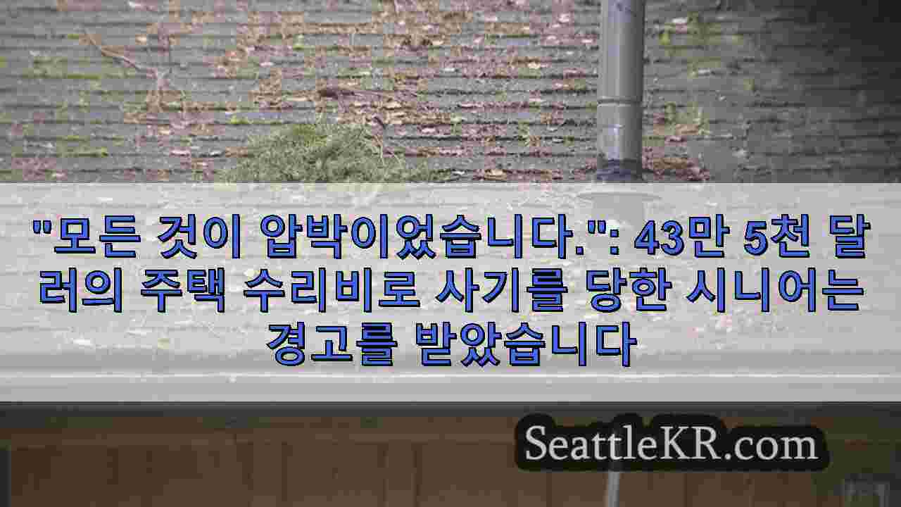 시애틀 뉴스 SeattleKR
